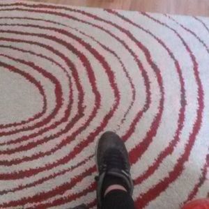 Meet your Posher, Ginger